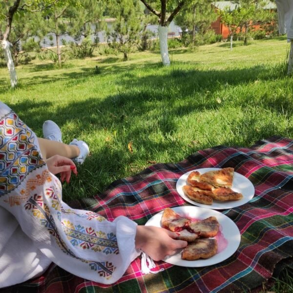 Bilet Picnic